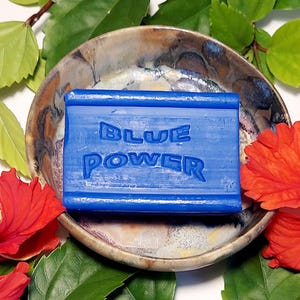 May include: A blue bar of soap with the words "BLUE POWER" embossed on top, resting in a decorative ceramic bowl. The bowl is surrounded by green leaves and red hibiscus flowers.