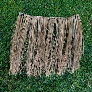 May include: A brown grass skirt made of long, thin strands of dried grass. The skirt is hanging on a green grassy surface.