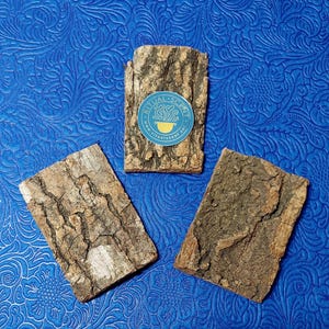 Puede incluir: Tres trozos de corteza, cada uno con una textura y un patrón diferentes. La corteza es de color marrón claro con algunas áreas de marrón más oscuro. La corteza está dispuesta en forma triangular sobre un fondo azul. La corteza está etiquetada con una pegatina que dice "Ritual Scent" y una dirección de sitio web.