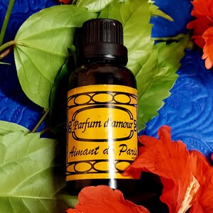 Parfum d Amour amour Haitian Vodou love Perfume Oil 21 Oils Aimant de Paris Love & Luck Ritual Bath Caribbean baths luck romance Mont Saint Michel Amber, Eau de Cologne, Amber Scent,, Perfume amber cologne, mont saint michel,, traditional amber perfume, amber, mont st amber, pompeia lotion, florida, LT Piver, d'amour spell Florida Pompeia Bien etre reve d'or camphor azahar orange flower kananga siete Machos eau des princes st michael tabu  agua divina laiat d'iris celeste santa clara holy anil
