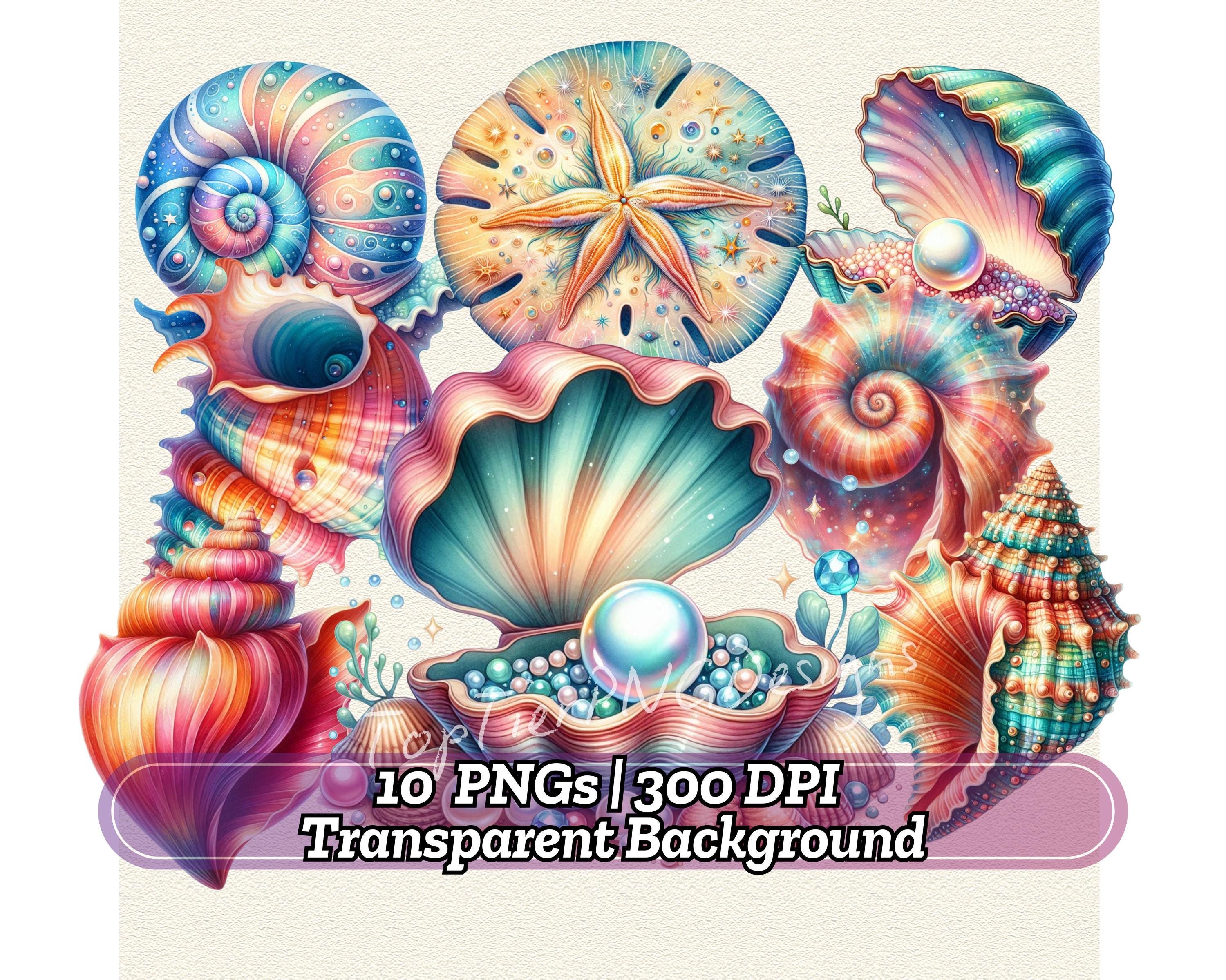 Watercolor Sea Shells & Pearls Clipart: Ocean Elements (Digital Download)