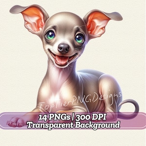 14 Clipart di levrieri italiani in formato PNG, Acquerello di levrieri, Eleganti illustrazioni di cani, Album di ritagli per biglietti da scaricare, Memoriale per animali domestici