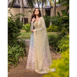 Mehrfarbiges Kleid | Pakistanische indische Desi Damenbekleidung | Abendgarderobe| Partykleidung | Braut | Auf Bestellung | Neue Kollektion | Eid/Mehendi/Diwali