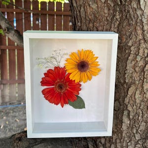 Suszone kwiaty Shadowbox, wiszące / stojące kwiaty, kwiaty, wystrój domu, wystrój ścienny, minimalistyczny, botaniczny, pomysły na prezenty, prezenty Etsy