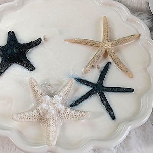 Ocean Inspired Decorative Candle, Nautical Inspired Candle, Ocean Life Decor, Coastal Living, Starfish decor, Coastal candle, seaside decor