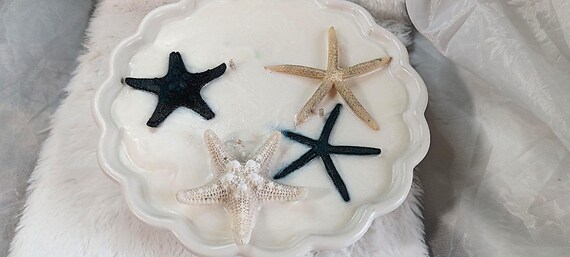 Ocean Inspired Decorative Candle, Nautical Inspired Candle, Ocean Life Decor, Coastal Living, Starfish decor, Coastal candle, seaside decor