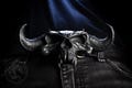 MADBELTS - Dominus Tenebrarum - The Lord of Shadows