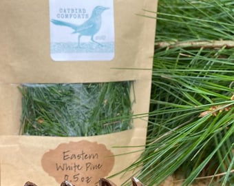 Fresh Eastern White Pine Needles | Harvested to Order | Pinus strobus | Organic Farm Grown | Pine Needle Tea