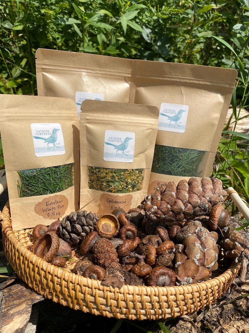 May include: Four brown paper bags filled with dried herbs and labeled with the text "Catbird Comforts". The bags are arranged on a woven wicker basket filled with acorns and pine cones.