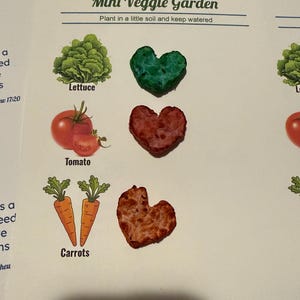 Carte Faites pousser vos propres légumes – Ensemble de bombes de graines faites main (laitue, tomate, carotte)