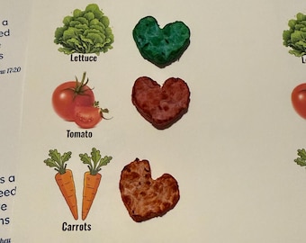Grow Your Own Veggies Card – Handmade Seed Bomb Set (Lettuce, Tomato, Carrot)
