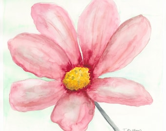Pink Flower