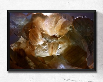 Universo de la cebolla. Fotografía artística. Fotografía abstracta. Fotografía de arte digital. Fotografía macro. Arte de pared imprimible. Descarga instantánea.