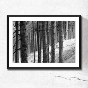 Printable black and white photo of the Trees in the Alpine Forest. Nature digital print. Instant Download.