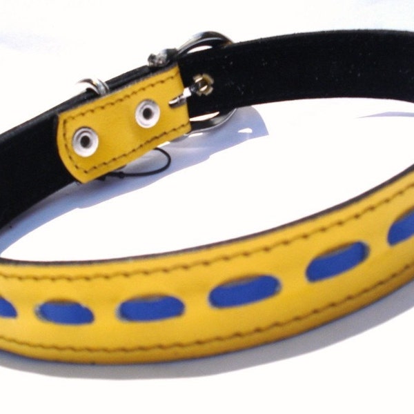 Cool Leather Dog Collar Yellow with Blue