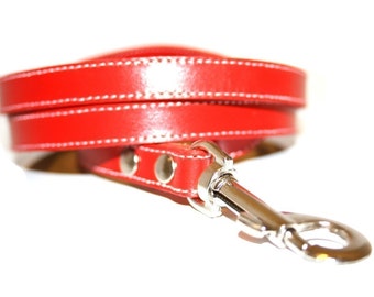 Cool Mod Red Leather Dog Leash