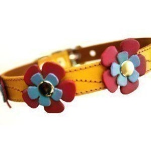 Leather Dog Collar