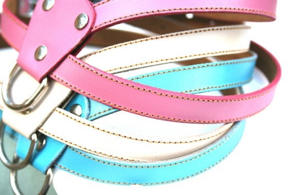 light blue dog harness