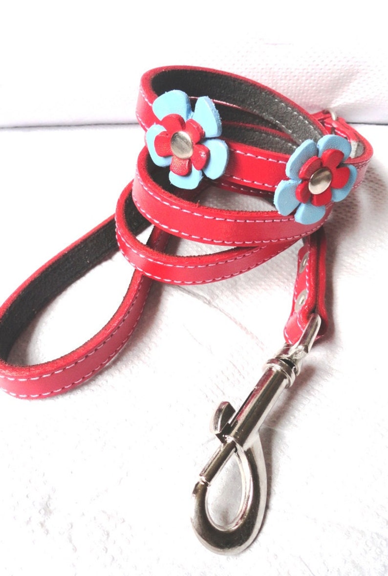 Delilah Red Leather Dog Leash Lead image 1