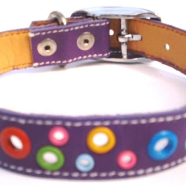 Loki Puppy Collar de perro de cuero - Punk Purple