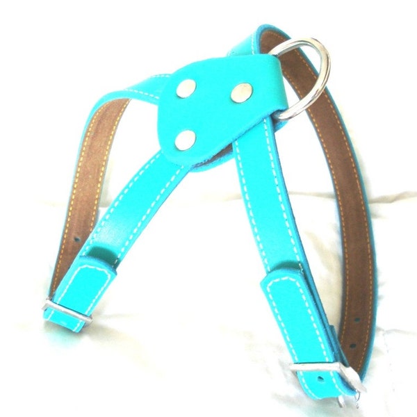 Harnais pour chien en cuir turquoise cool