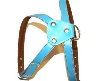 Harnais pour chien en cuir bleu clair