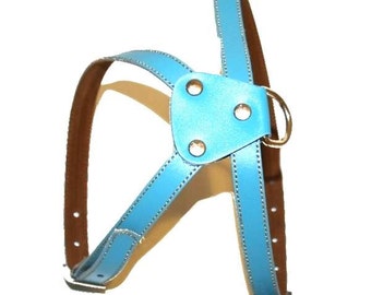 Light Blue  Leather Dog Harness