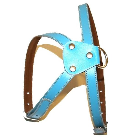 Blue leather dog harness sale