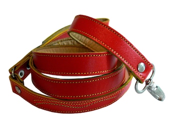 Cool Red Leather Dog Leash