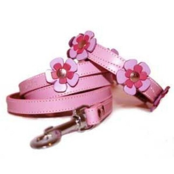 Items similar to Pink Flowers Leather Dog Collar and Leash Set on Etsy