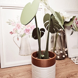 3D Printed Monstera Plant Coaster Set: Tropical Table Decor