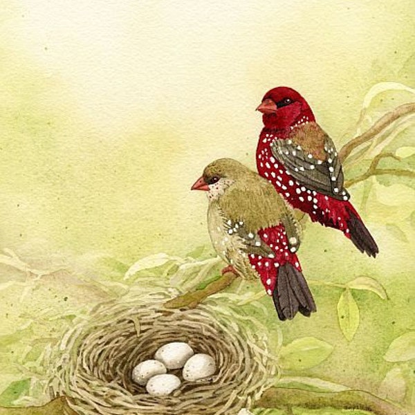 The Finch Family - 8x10 ORIGINAL watercolor painting by Tracy Lizotte