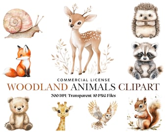 Woodland Clipart Watercolor Woodland Animals Clipart Cute Woodland Animals PNG Nursery Animals Baby Shower Forest Animals Commercial Use Art