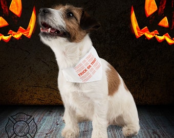 Bandana para perros con mensaje "truco o trato", disfraz para perros, disfraz para Halloween para perros, disfraz para Halloween para mascotas