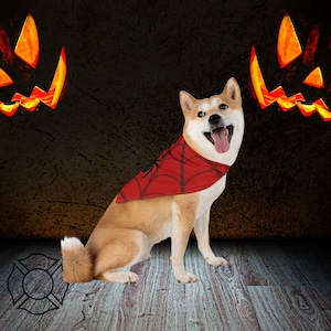Pet Costume, Dog Costume, Halloween, Dog Superhero, Spiderdog