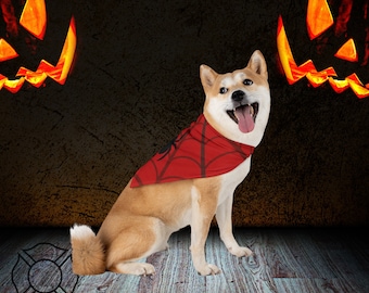 Pet Costume, Dog Costume, Halloween, Dog Superhero, Spiderdog