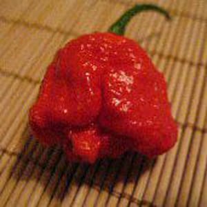 May include: A bright red chili pepper with a wrinkled texture and a green stem.