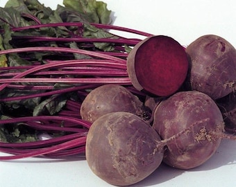 Boro Beet F1 Hybrid Seeds
