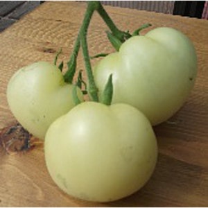 May include: Three pale green tomatoes on a vine, with a wooden background.