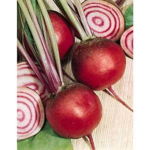 May include: Close-up of red beets with white rings. The beets are fresh and have green stems.