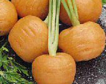 Thumbelina Carrots Seeds
