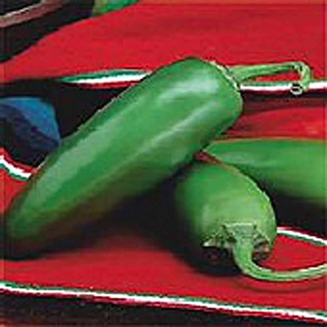 Compadre Pepper Compadre Hot Peppers Seeds - Etsy