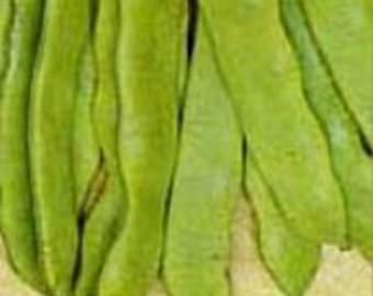 May include: Close-up of several fresh, green, elongated pods. The pods have a slightly textured surface and a vibrant, natural green color. The image suggests a focus on fresh produce or a specific type of plant.
