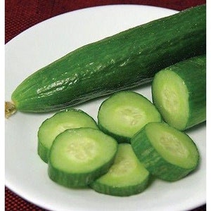 May include: A green cucumber sliced into rounds on a white plate. The cucumber is fresh and has a smooth skin.