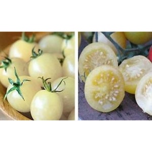 May include: Close-up of white cherry tomatoes, some whole and some cut in half, showing the yellow flesh and seeds.