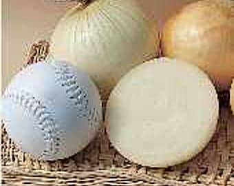 Candy Onions Seeds