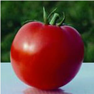 May include: A large, ripe, red tomato with a green stem. The tomato is sitting on a white surface.