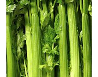 Tendercrisp Celery Seeds