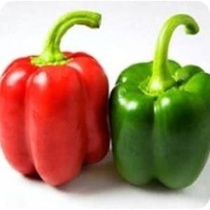 Yolo Wonder Bell Pepper Seeds