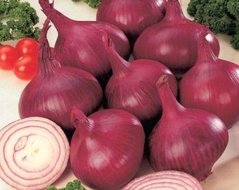 Italian Red Round Onion Seeds